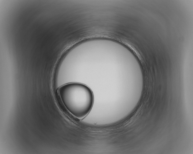 X0000111840677200907231040