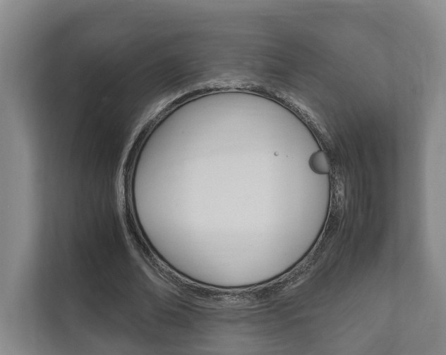 X0000111840678200907231040