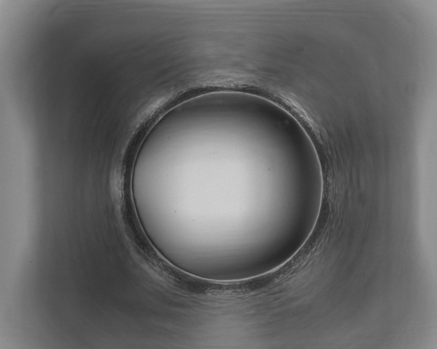 X0000111840679200907231039