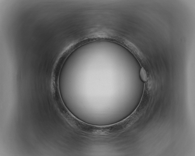 X0000111840680200907231039