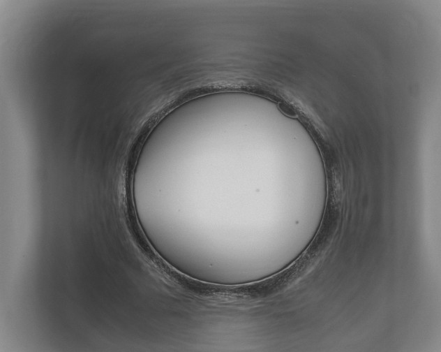 X0000111840681200907231039