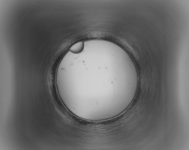 X0000111840683200907231039