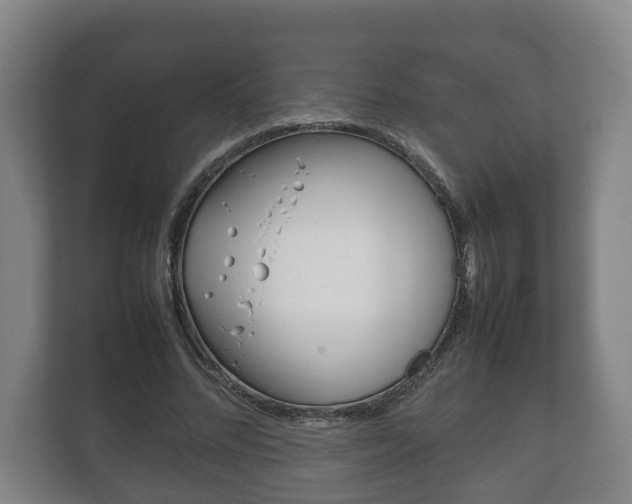 X0000111840684200907231039