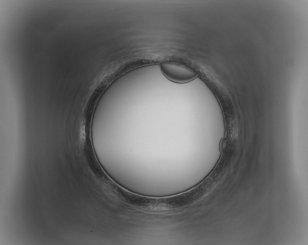 X0000111840685200907231039