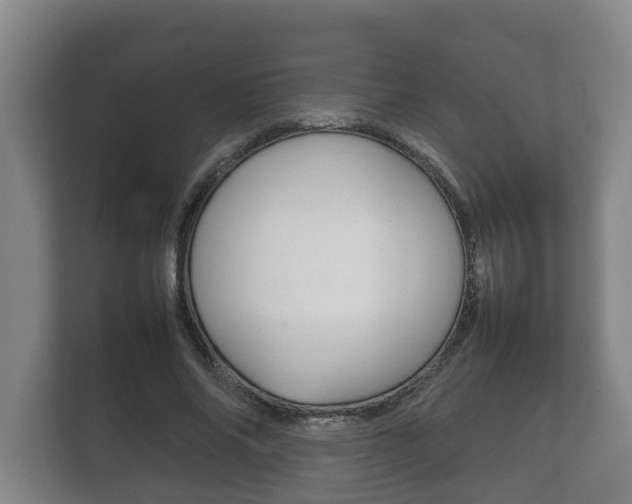 X0000111840686200907231039