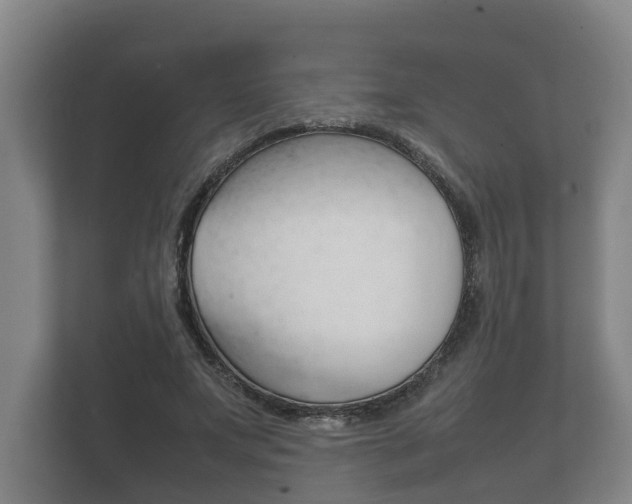 X0000111840687200907231039