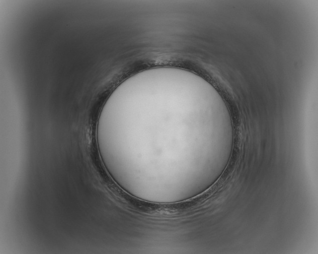 X0000111840691200907231039