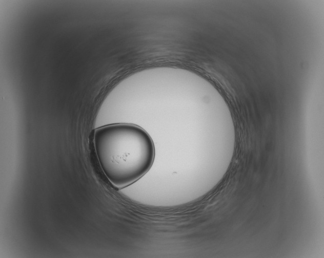 X0000111840693200907231039