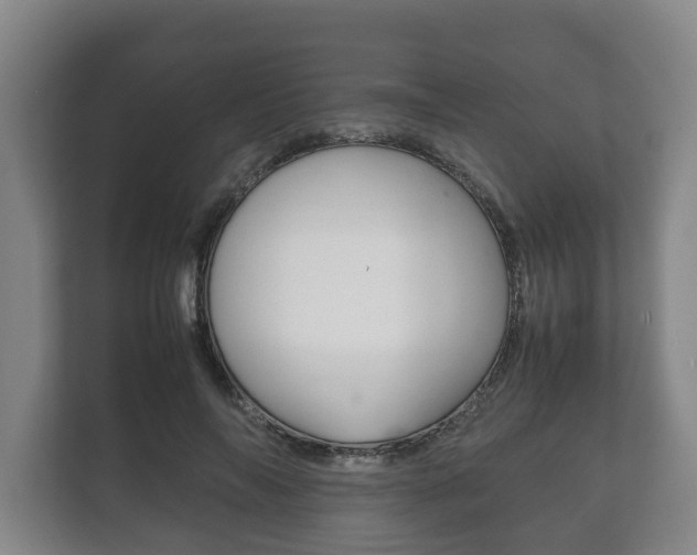 X0000111840694200907231039