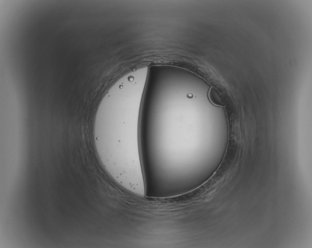 X0000111840697200907231039