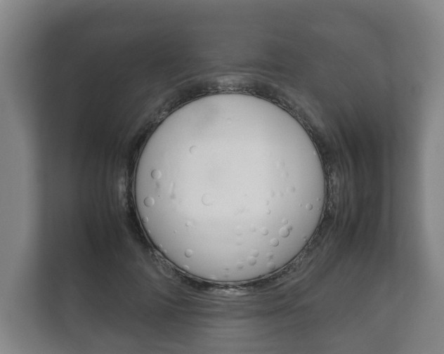 X0000111840698200907231039