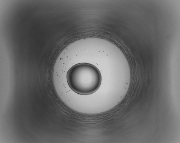 X0000111840701200907231039