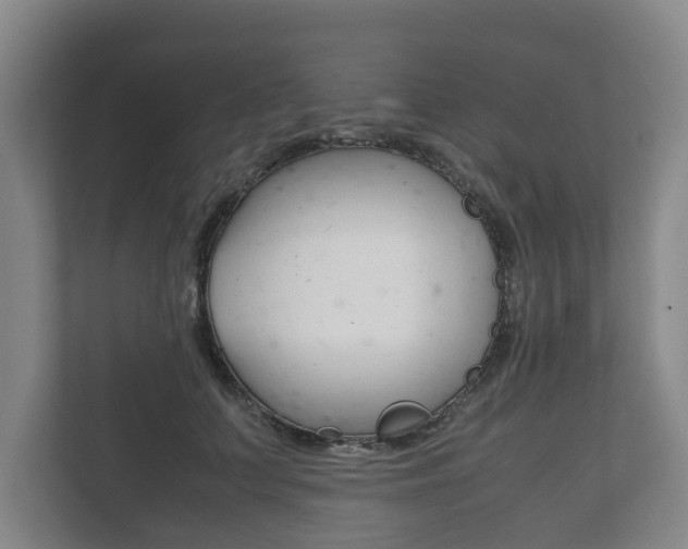 X0000111840703200907231039