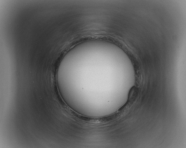 X0000111840704200907231039