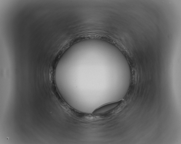 X0000111840712200907231039