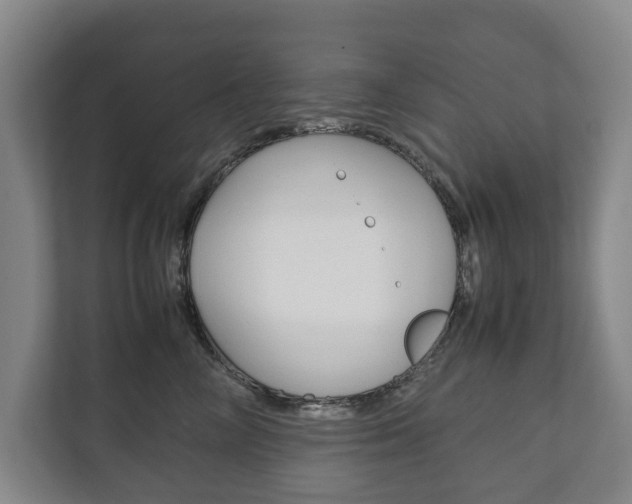 X0000111840714200907231039