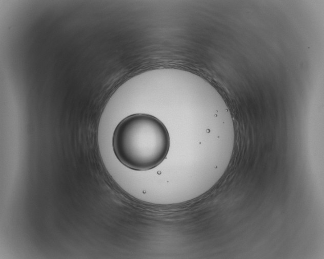 X0000111840716200907231039