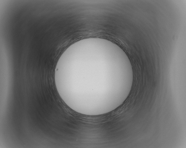 X0000111840720200907231039