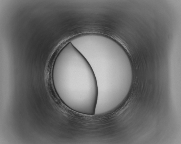 X0000111840723200907231038