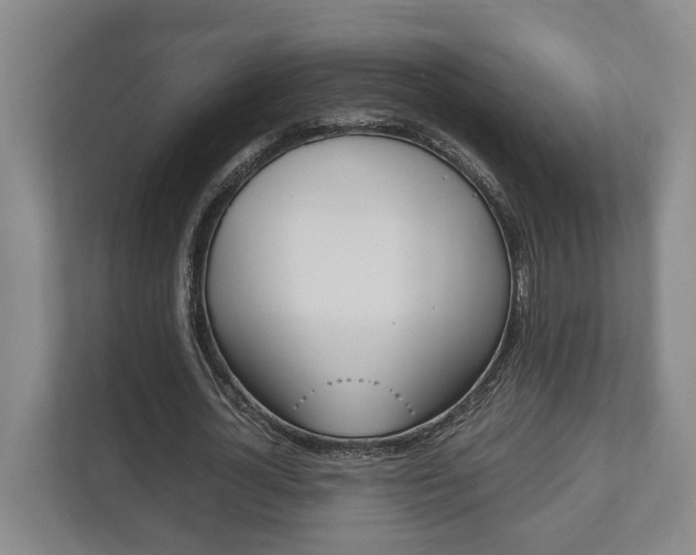 X0000111840724200907231038