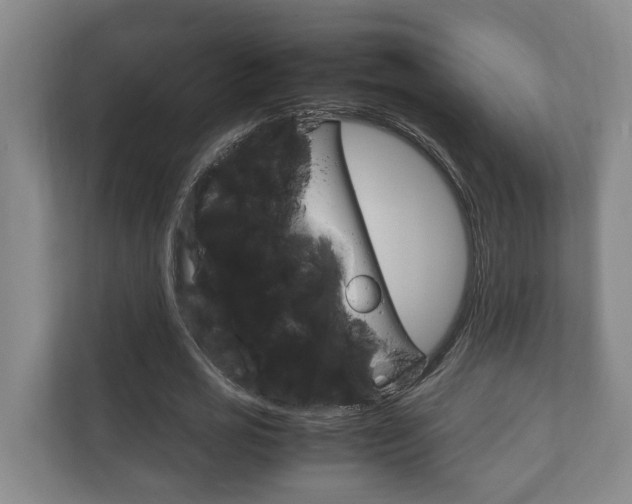 X0000111840725200907231038
