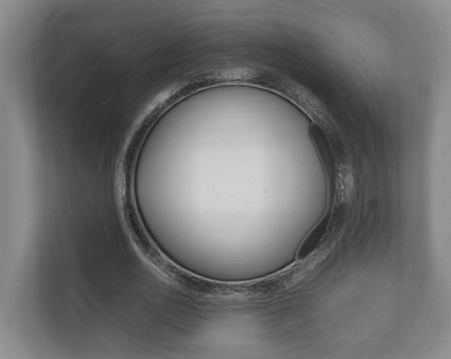 X0000111840726200907231038