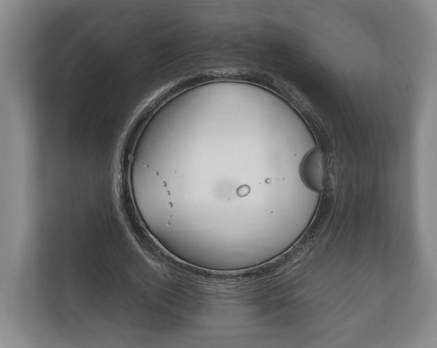 X0000111840728200907231038