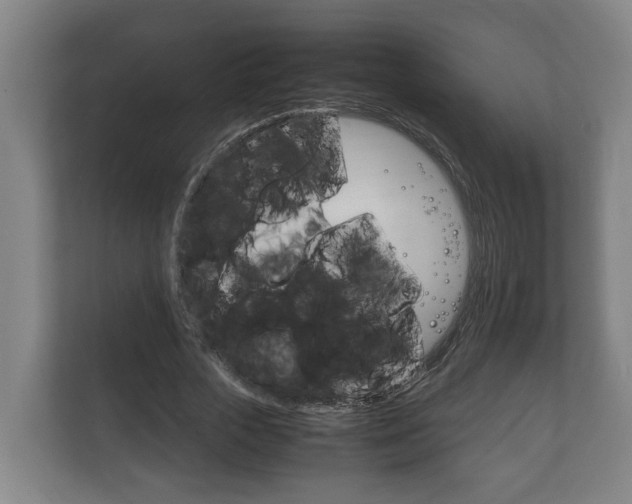 X0000111840729200907231038