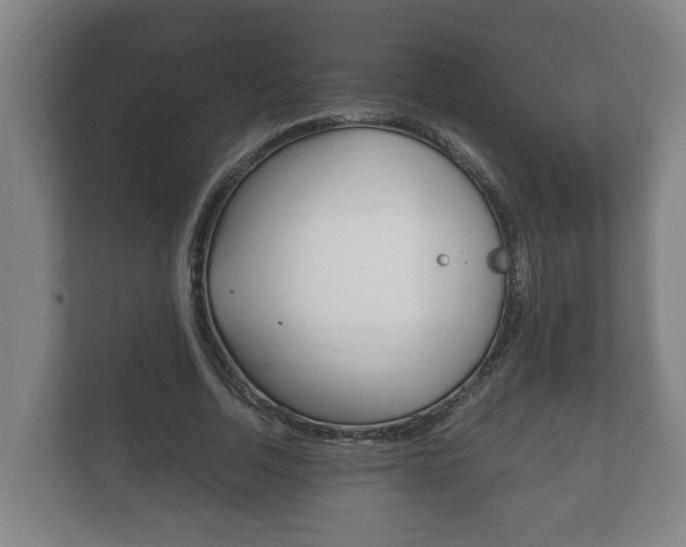 X0000111840730200907231038