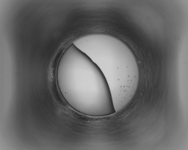 X0000111840731200907231038