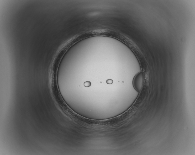 X0000111840732200907231038