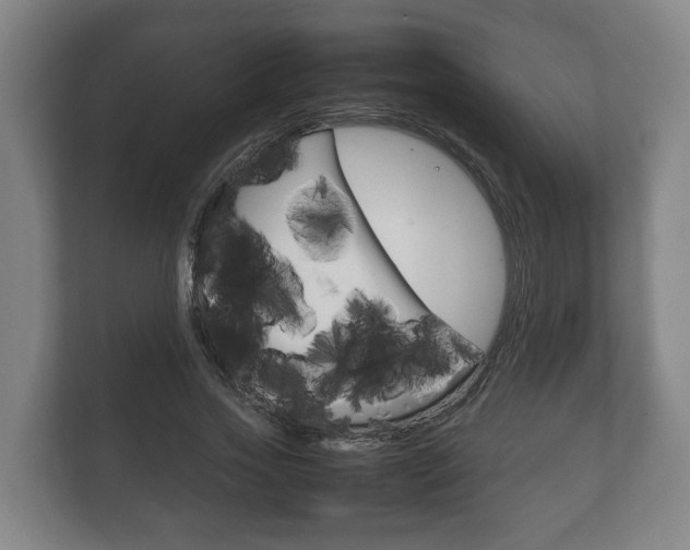 X0000111840733200907231038