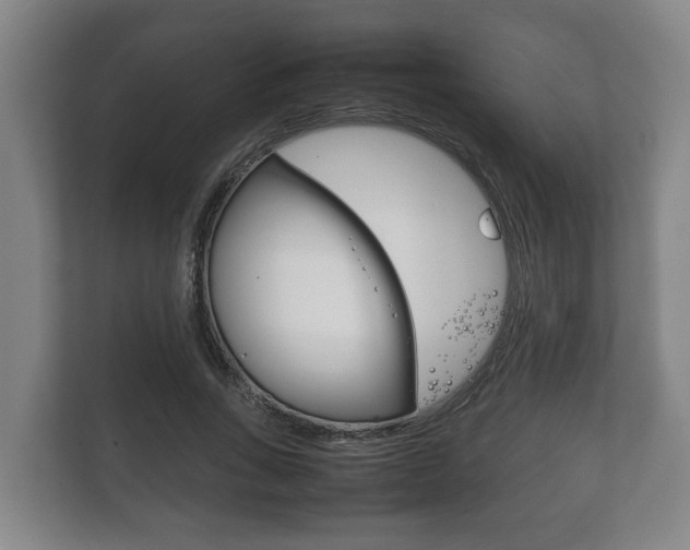X0000111840735200907231039