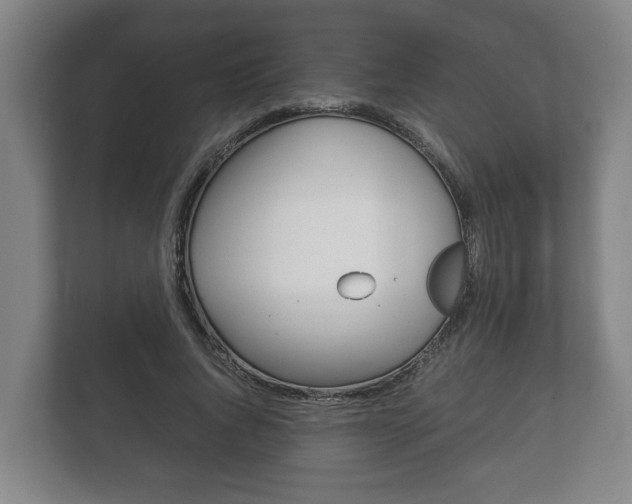 X0000111840736200907231039