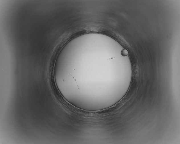 X0000111840738200907231039