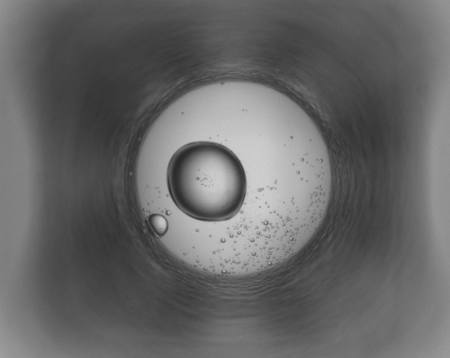 X0000111840740200907231039