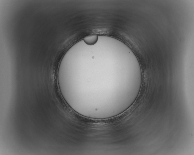 X0000111840741200907231039
