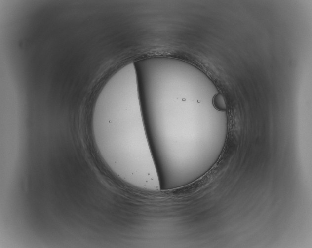 X0000111840742200907231039