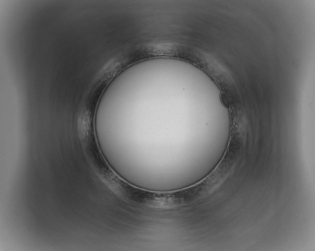 X0000111840744200907231039