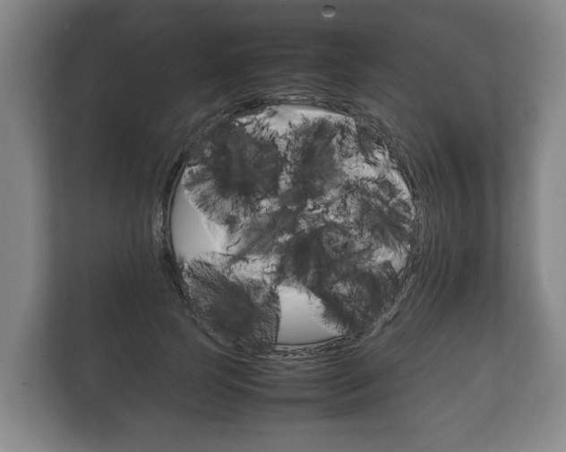 X0000111840745200907231039