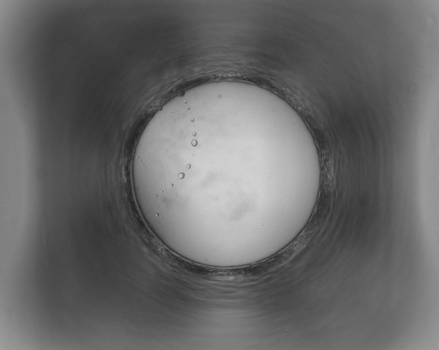 X0000111840746200907231039