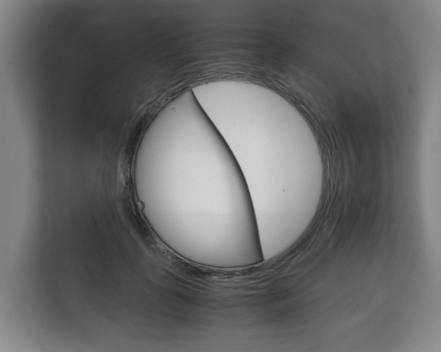 X0000111840747200907231039