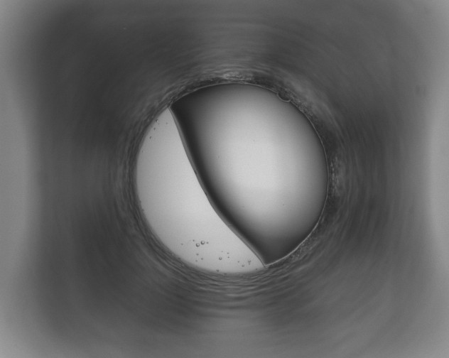 X0000111840748200907231039