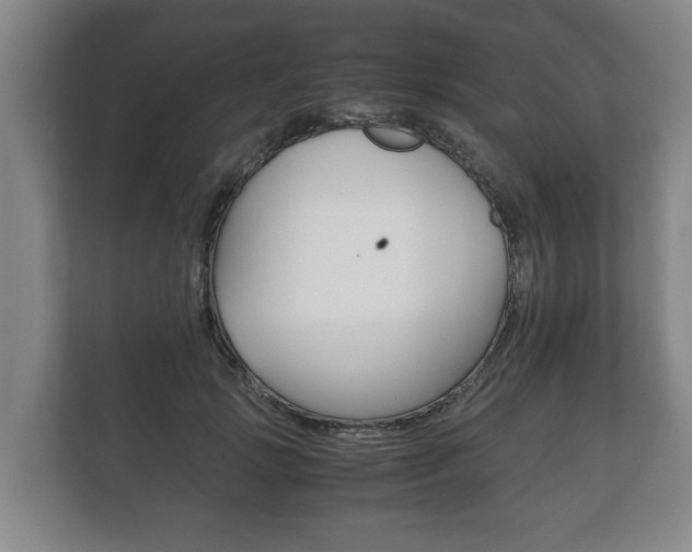 X0000111840749200907231039