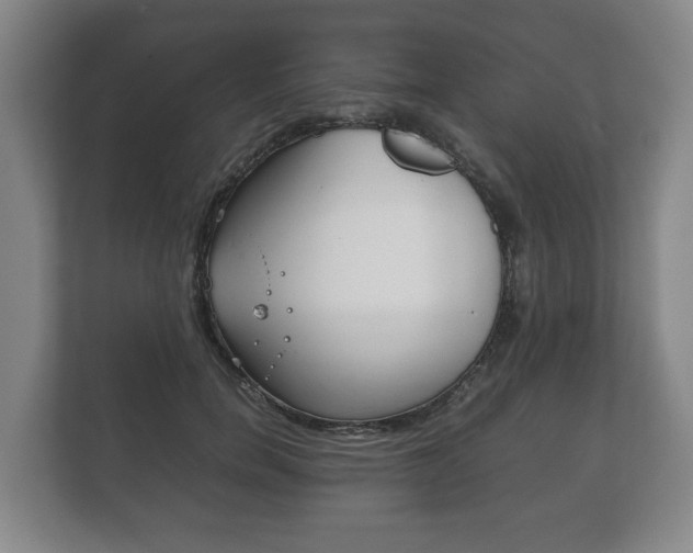 X0000111840750200907231039