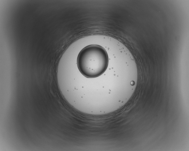 X0000111840751200907231039