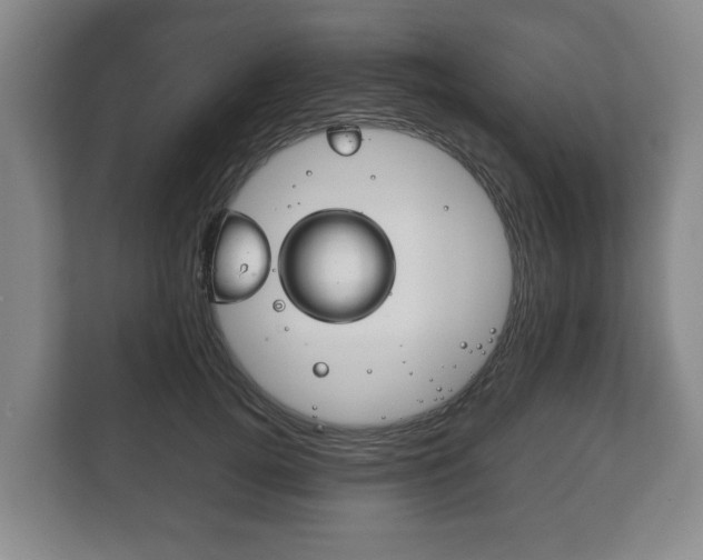 X0000111840752200907231039