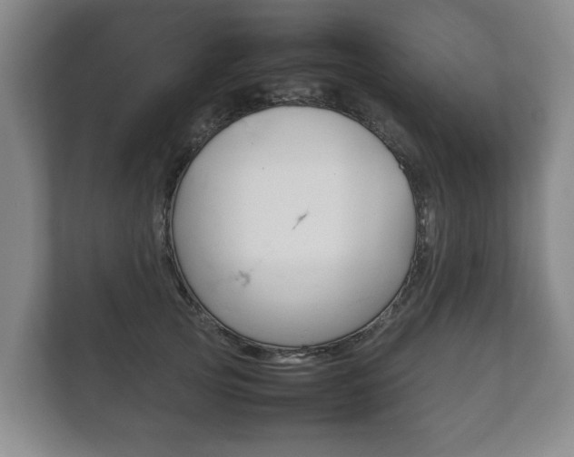 X0000111840753200907231039
