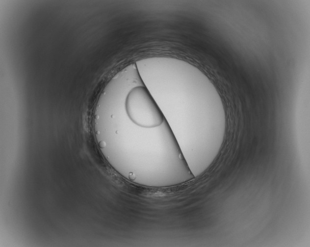 X0000111840755200907231039