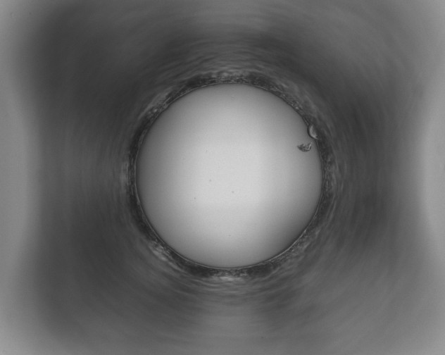 X0000111840756200907231039